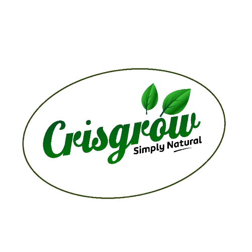 Your logo